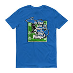 Load image into Gallery viewer, Detroit lions football sports t-shirt
